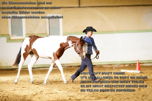 s_K3F06528.JPG
